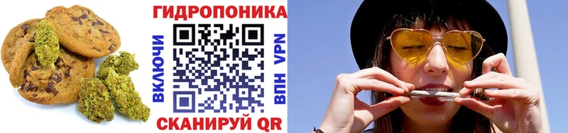 мега зеркало  Усть-Илимск  Canna-Cookies конопля  купить закладку 