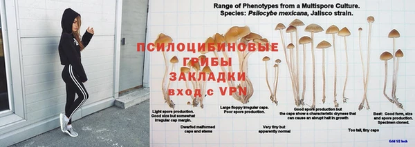 мдпв Балахна