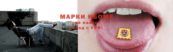 прущие грибы Аркадак