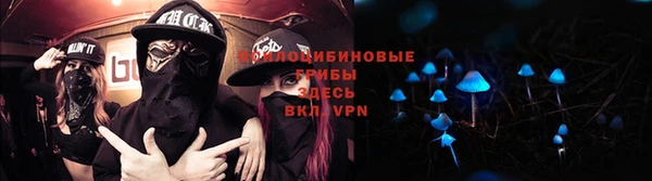 ГАЛЛЮЦИНОГЕННЫЕ ГРИБЫ Балабаново