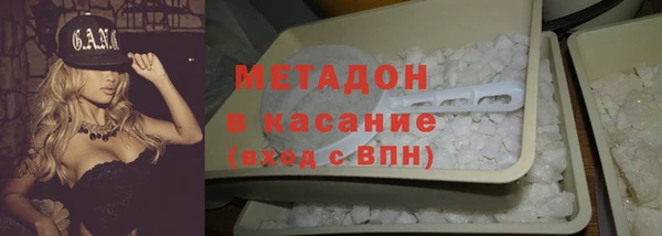 прущие грибы Аркадак