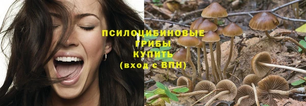 ГАЛЛЮЦИНОГЕННЫЕ ГРИБЫ Балабаново