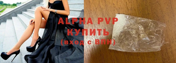 прущие грибы Аркадак