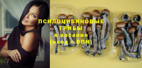 мдпв Балахна